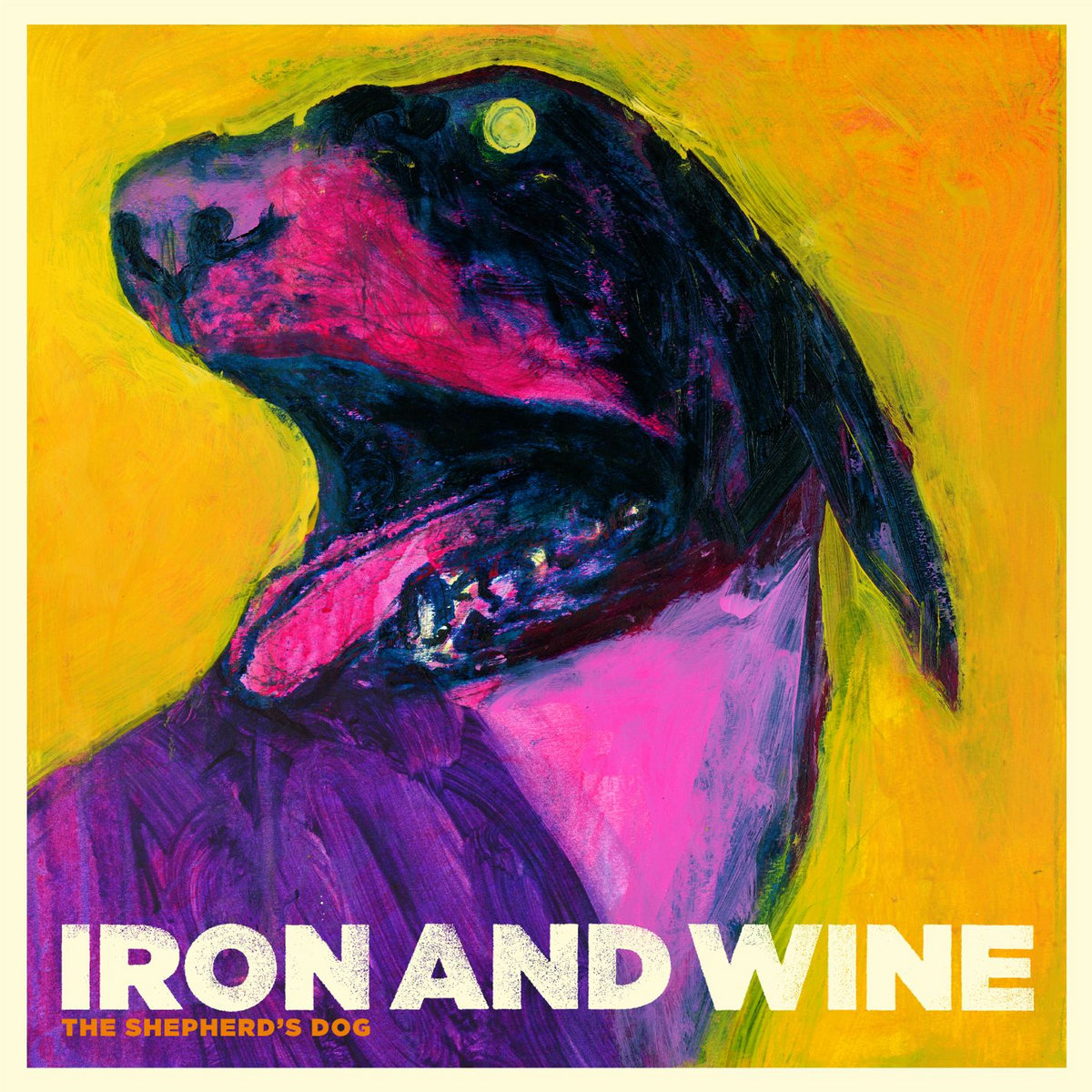 iron_wine